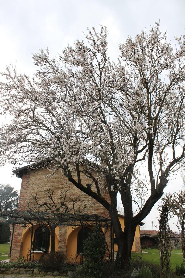 La Trunera Guest House 알레산드리아 외부 사진